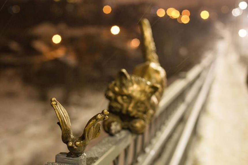 Новини Вінниці / Бронзового кота із Київського мосту у Вінниці знайшли на дні Південного Бугу 