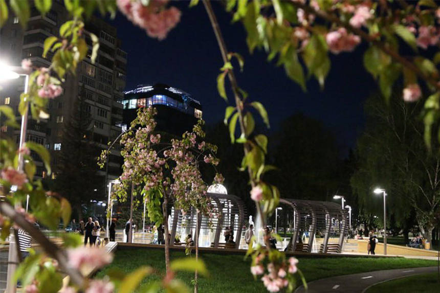 Новини Вінниці / Вінничанин пропонує продовжити алею сакур, аби запобігти паркуванню авто на тротуарі