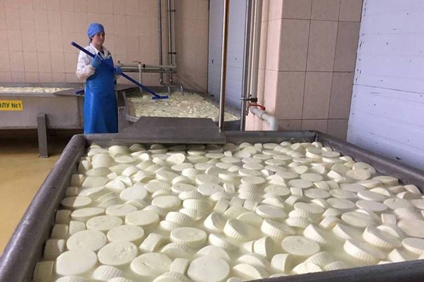 Новини Вінниці / Модернізований Гайсинський молокозавод почав постачати свою продукцію до Латвії, Білорусі, Грузії, Молдови, Єгипету, Йорданії, В'єтнаму, Саудівської Аравії