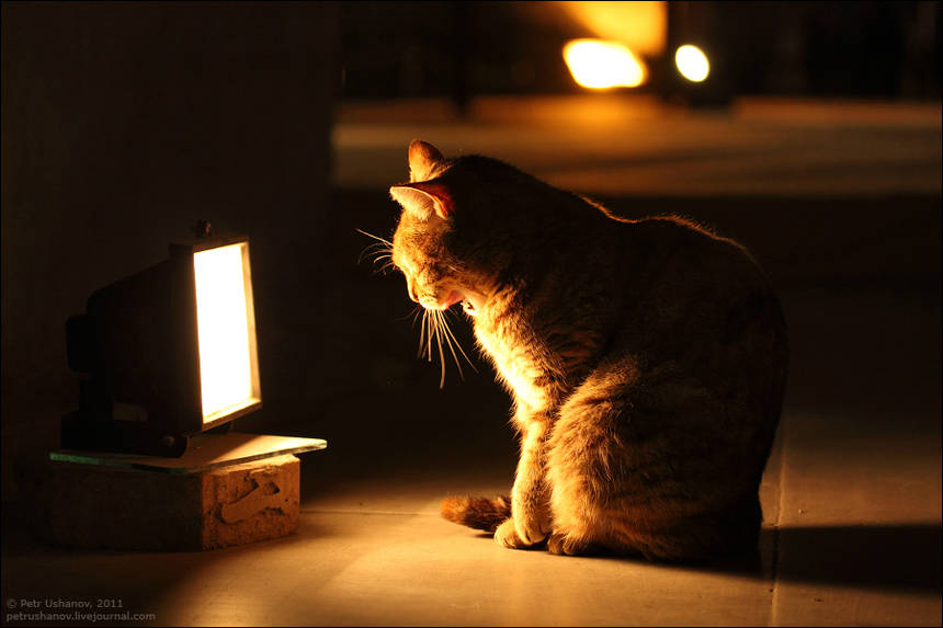 Новини Вінниці / Графік планових відключень світла у Вінниці на 6 – 12 травня