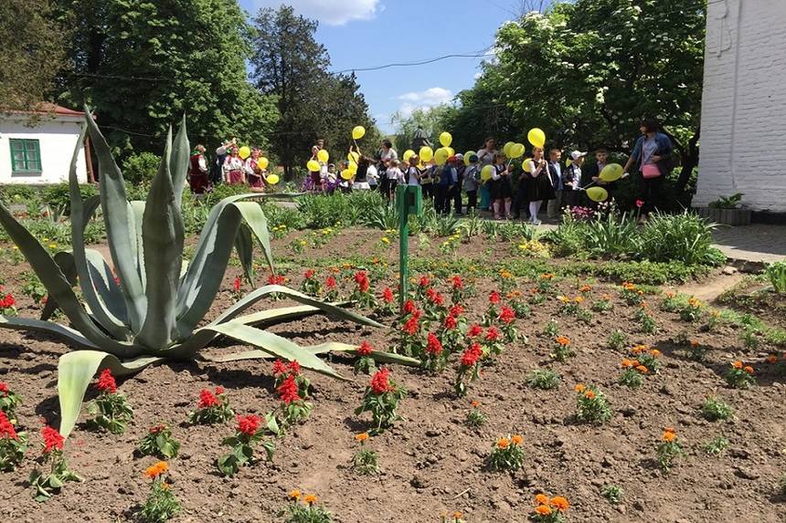 Новини Вінниці / «Галявину Сонця і Мрій» Михайла Коцюбинського висадять у Вінниці із живих квітів