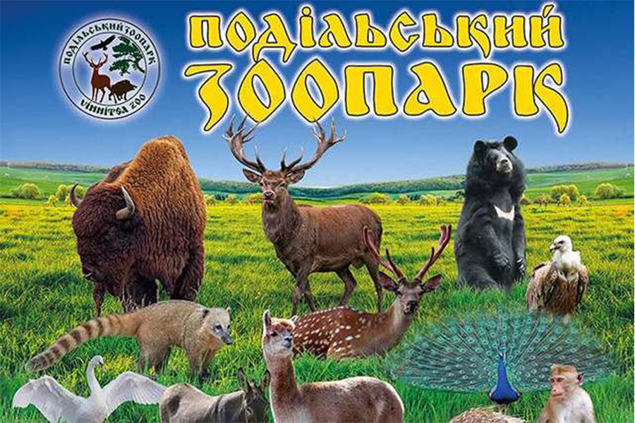 Новини Вінниці / У Вінницькому зоопарку тривають масштабні зміни для ведмедів і шукають другу зебру (ФОТО) 