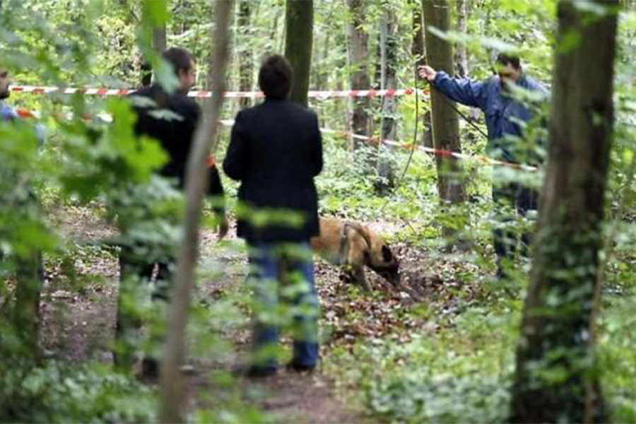 Новини Вінниці / На Вінниччині у лісі замість грибів знайшли труп