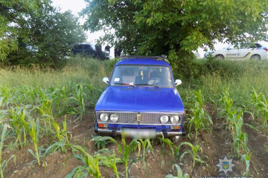 Новини Вінниці / Курйозне викрадення авта на Вінниччині: господарка сама віддала ключі зловмиснику 