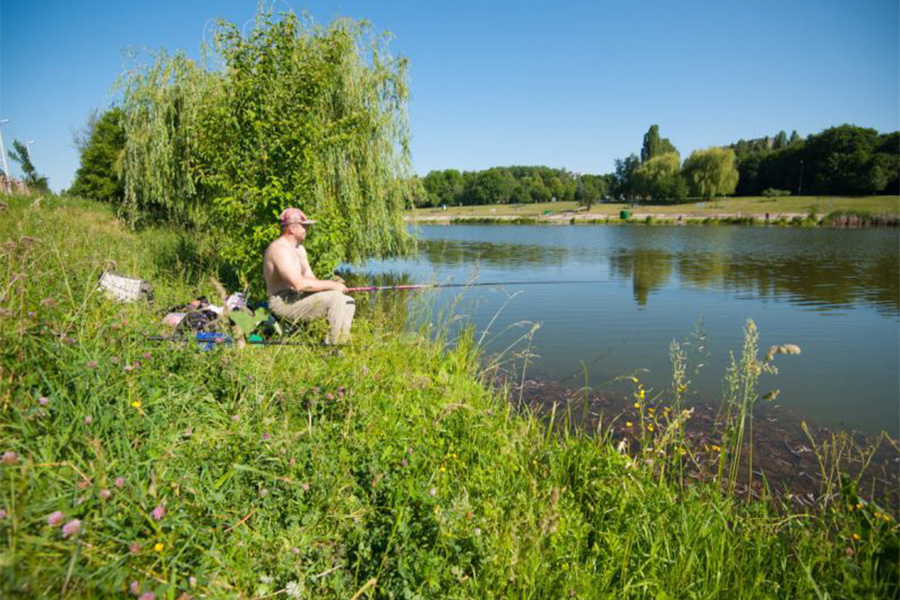 Новини Вінниці / Вінничанам пропонують ідею створення у місті аналогу New York Central Park