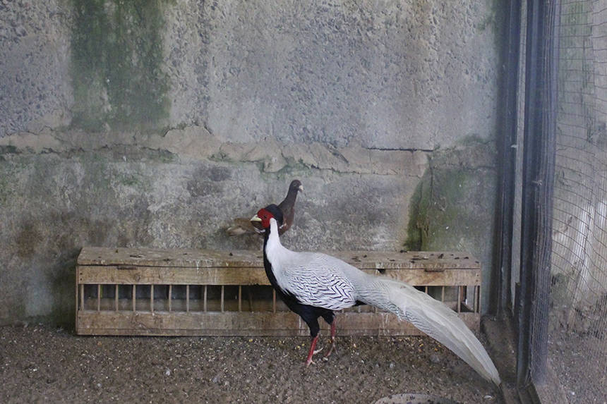 Новини Вінниці / Як відпочити поруч з Вінницею? Журналістам провели тур по приміським Якушинцях і Зарванцях