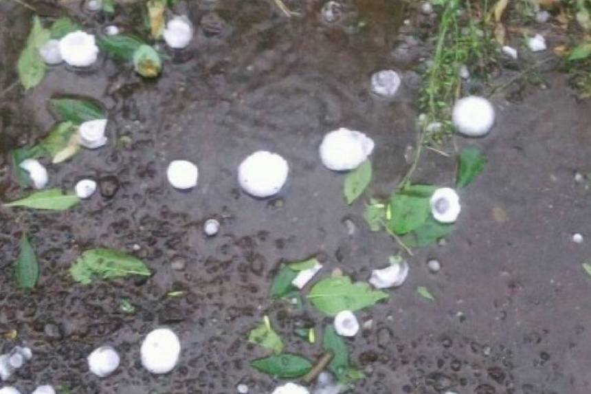 Новини Вінниці / На Вінниччині град і вітер залишили людей без даху над головою  