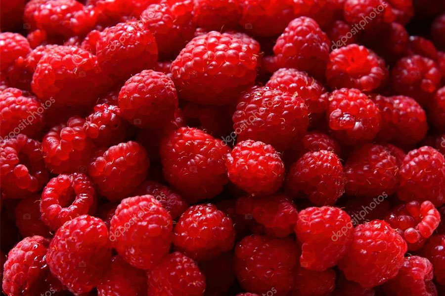 Новини Вінниці / На Віннниччині пройде фруктовий фестиваль, де обіцяють також перегони на каяках і футбол у болоті  