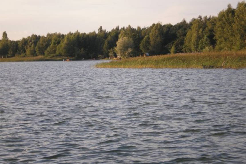 Новини Вінниці / На Вінниччині вдруге охорона ставка стріляє у підлітків