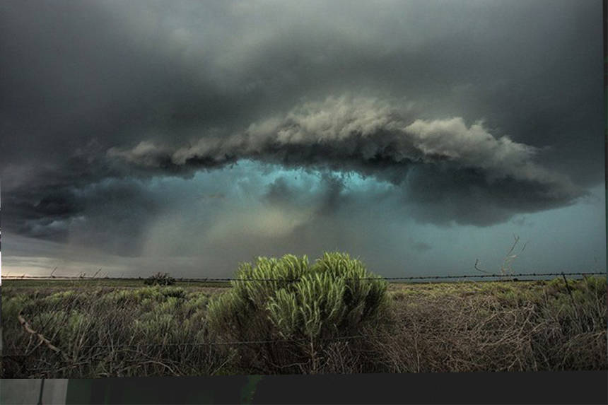 Новини Вінниці / На Вінниччині урожай бобових перетворився на добриво