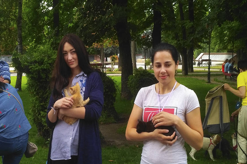 Хвіст-фест у Вінниці: містянам запропонували взяти додому маленьких пухнастиків (ФОТО, ВІДЕО) / Новости Винницы и области / Інформаційний портал На Париже Новини Вінниці / Хвіст-фест у Вінниці: містянам запропонували взяти додому маленьких пухнастиків (ФОТО, ВІДЕО)