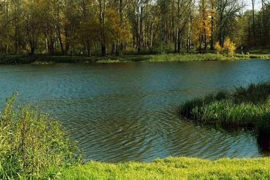 Новини Вінниці / Поблизу Вінниці знайдено тіло чоловіка з розпоротим животом