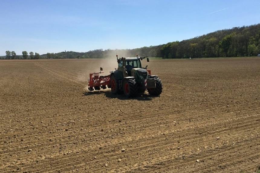 На Вінниччині аграрії почали сіяти озимі та збирати гречку / Новости Винницы и области / Інформаційний портал На Париже Новини Вінниці / На Вінниччині аграрії почали сіяти озимі та збирати гречку