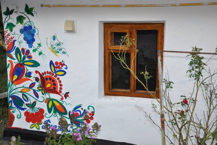 Новини Вінниці / Художники із чотирьох областей розмальовували хати у селі на Вінниччині (ФОТО)