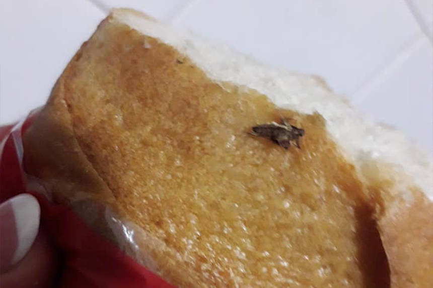 Новини Вінниці / Вінничани продовжують знаходити сюрпризи у вінницькому хлібі (ФОТО)