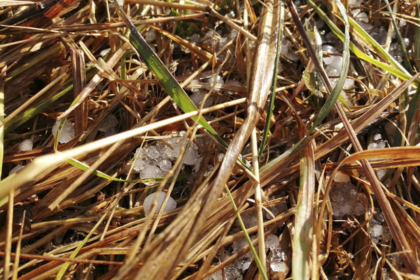 Новини Вінниці / На Вінниччині випав град. Синоптики прогнозують дощовий тиждень (ФОТО)