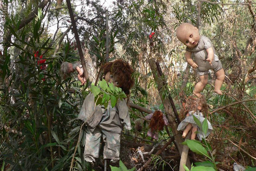 Моторошні жарти: у селі на Вінниччині дерево «прикрасили» ляльками з відірваними кінцівками / Новости Винницы и области / Інформаційний портал На Париже Новини Вінниці / Моторошні жарти: у селі на Вінниччині дерево «прикрасили» ляльками з відірваними кінцівками