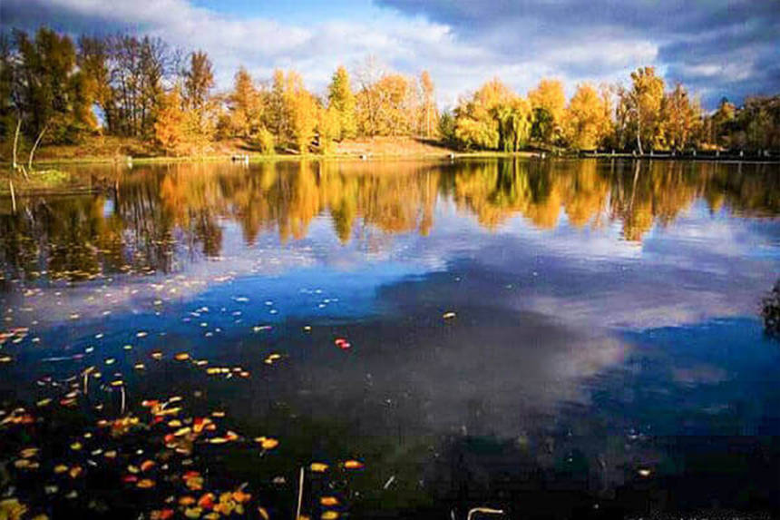 Новини Вінниці / На Вінниччині через ремонт мосту осушать водойму