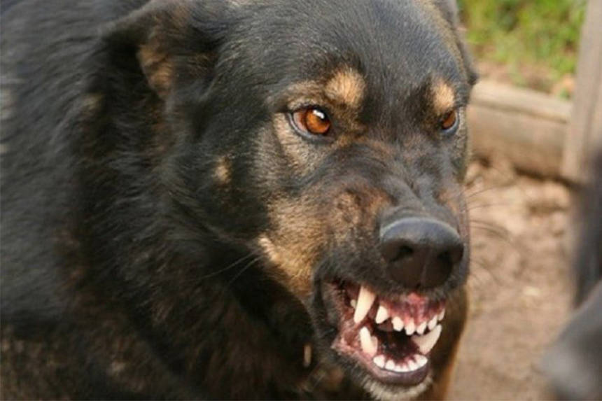 Новини Вінниці / Село на Вінниччині оголосили небезпечним пунктом