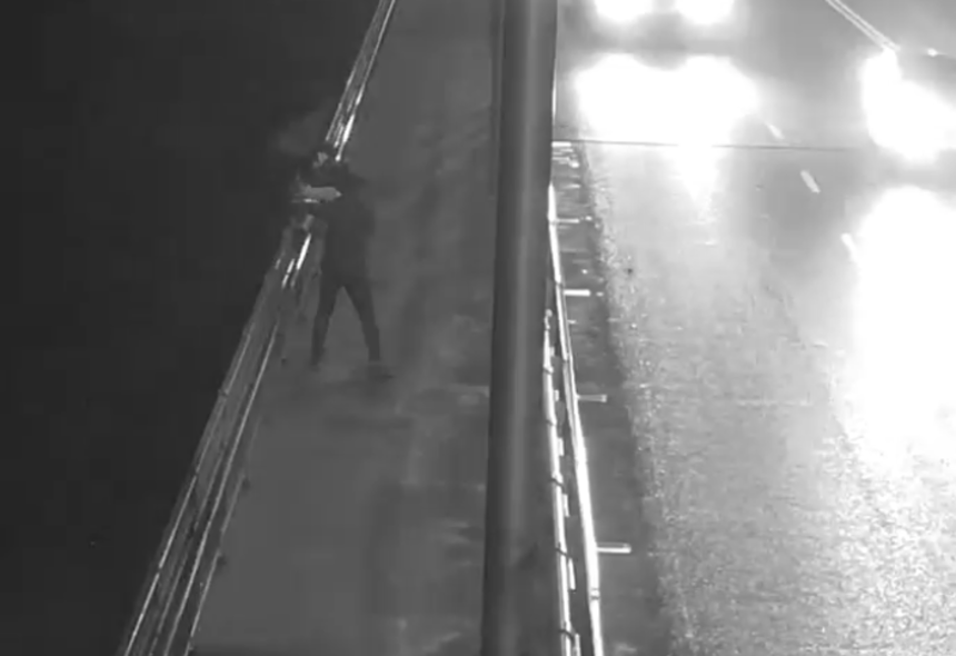 Новини Вінниці / Бронзові коти й гуси на мосту у Вінниці продовжують «вабити» хуліганів  (ВІДЕО)