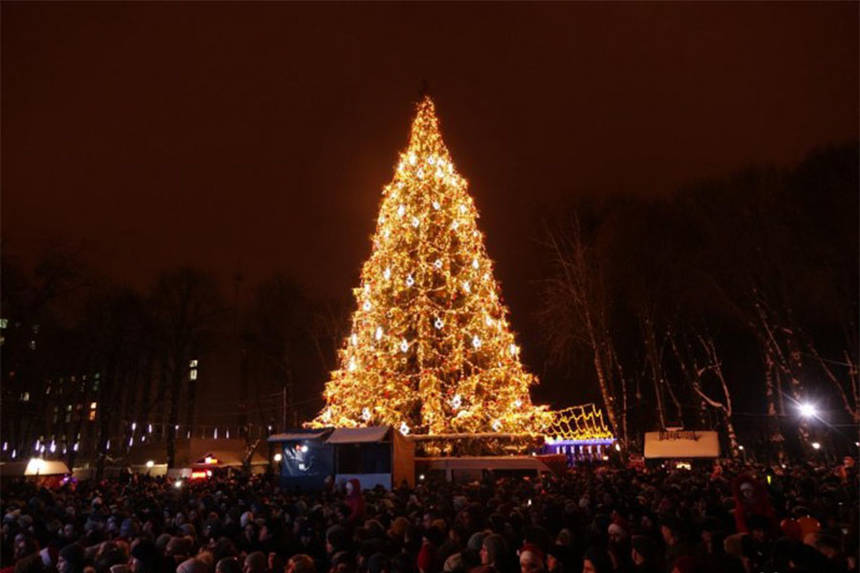 «Гілки» для головної ялинки Вінниці привезуть з Хмельницької області / Новости Винницы и области / Інформаційний портал На Париже Новини Вінниці / «Гілки» для головної ялинки Вінниці привезуть з Хмельницької області