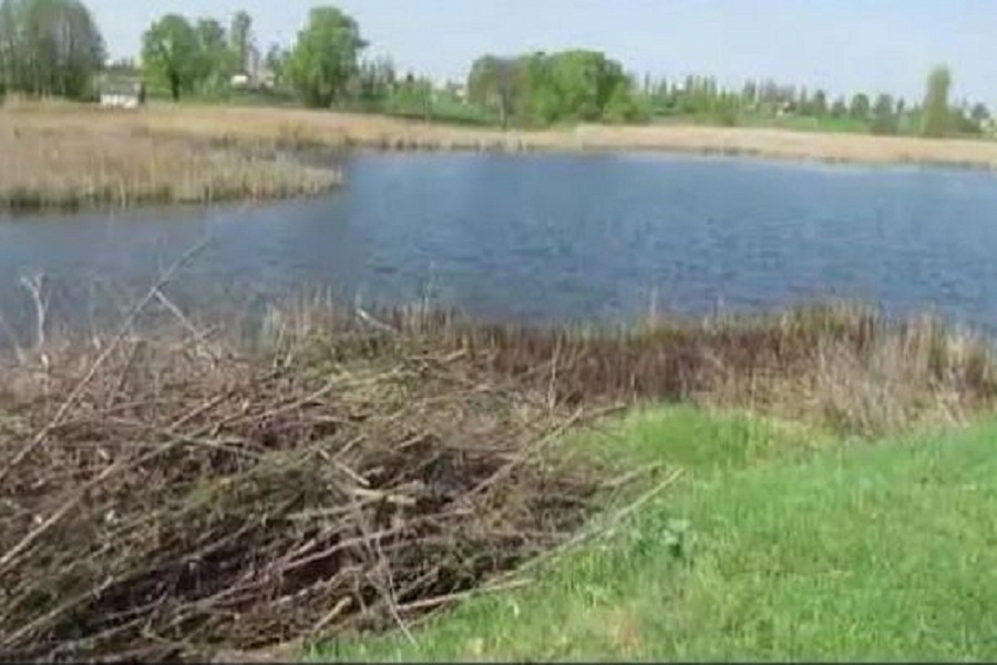 Новини Вінниці / На Вінниччині трагічно загинув рибалка – чоловіка «затягнуло» у мул