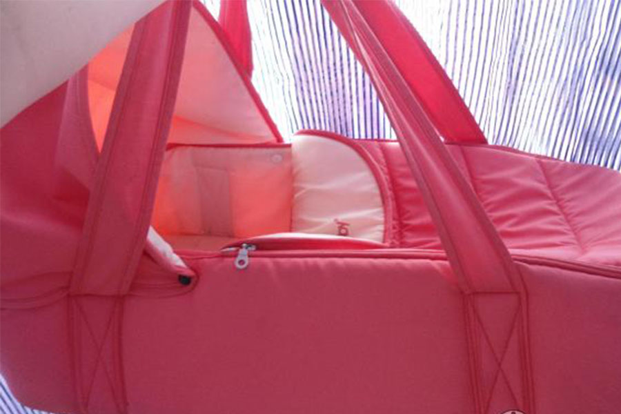 Новини Вінниці / На Вінниччині знайшли мертвою дитину. З її коляски вистрибнув кіт