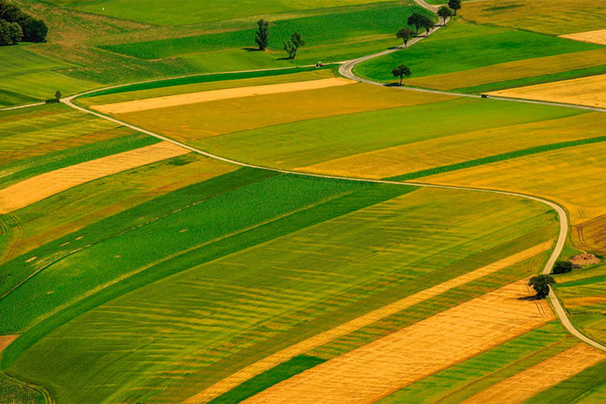 Новини Вінниці / На Вінниччині провели повну інвентаризацію земель