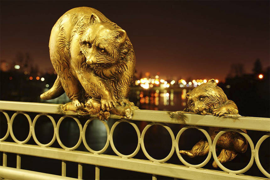 Новини Вінниці / У Вінниці Київський міст прикрасили двома єнотами (ФОТО)