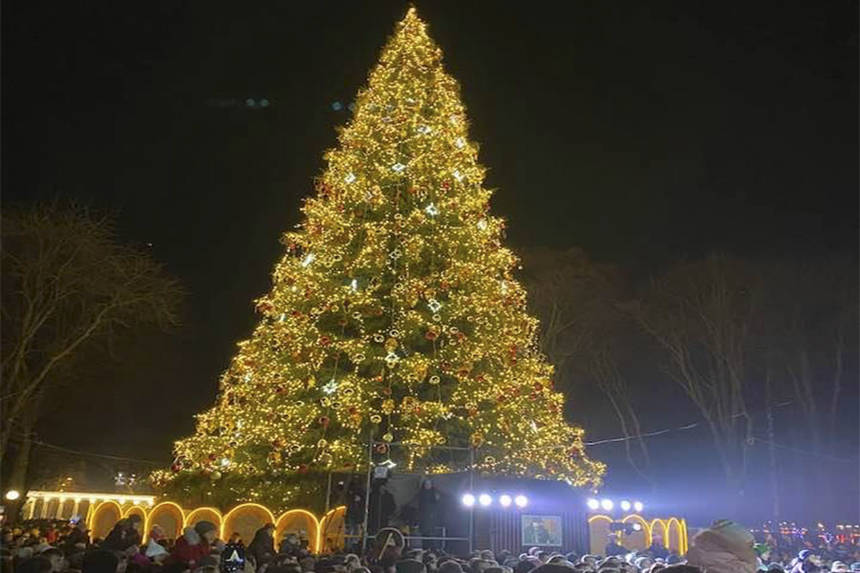 Новини Вінниці / Вінницьку ялинку в Центральному парку визнали рекордсменкою