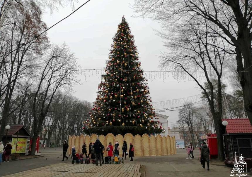 Новини Вінниці / Головна ялинка Вінниці виборола титул «віце-міс» у конкурсі від національного інформагентства 