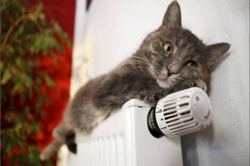 Новини Вінниці / У Вінниці продовжуються відключення гарячого водопостачання та опалення. Графік