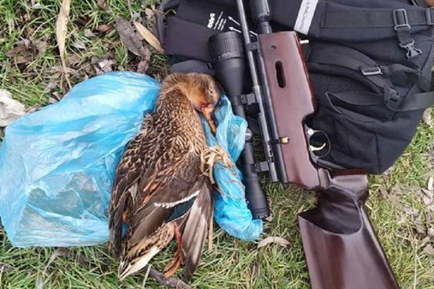 Новини Вінниці / У Вінниці чоловік «полював» на качок із пневматики