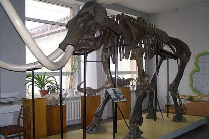 Новини Вінниці / Вінницький краєзнавчий музей запрошує гостей робити селфі 