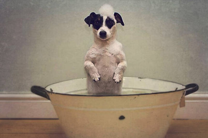 Новини Вінниці / В одному з мікрорайонів Вінниці протягом дня буде відсутнє водопостачання