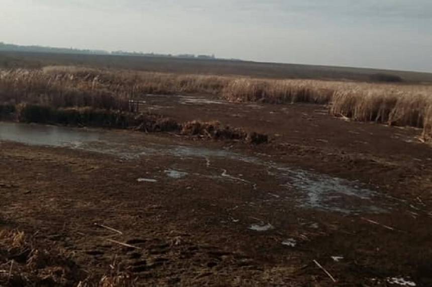 Новини Вінниці / «Такого нахабства ще не бачили»: у Барському районі на Вінниччині невідомі спустили орендований ставок і виловили всю рибу (ФОТО)