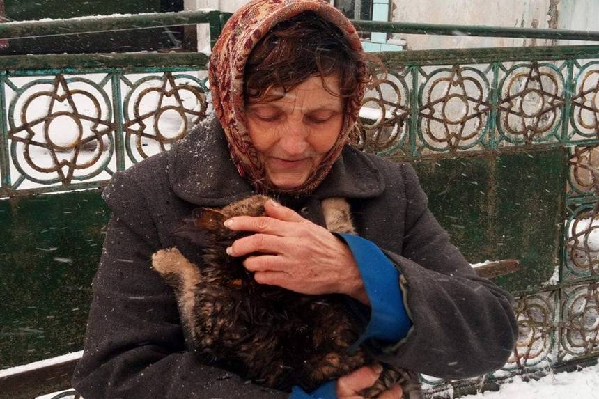 Новини Вінниці / Понад дві доби просидів на дереві кіт у Сутисках на Вінниччині: зняти допомогли рятувальники (ФОТО)