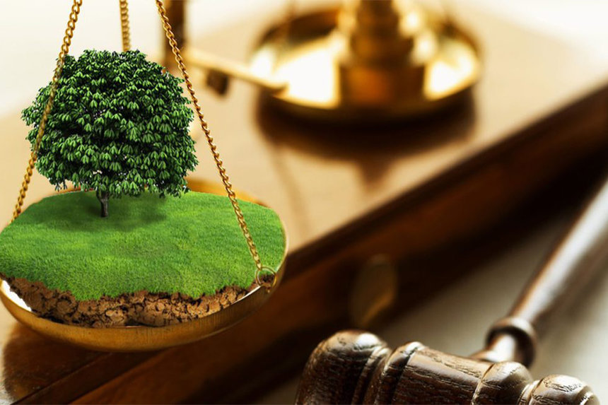 Новини Вінниці / На Вінниччині силовики затримали членів «земельної» ОЗГ: аферисти підробили документи на паї та намагалися продати близько 1000 гектарів 