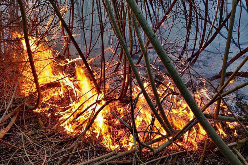 Новини Вінниці / Вінниччина у диму: головний рятувальник області б'є на сполох через кількість пожеж (ФОТО, ВІДЕО)