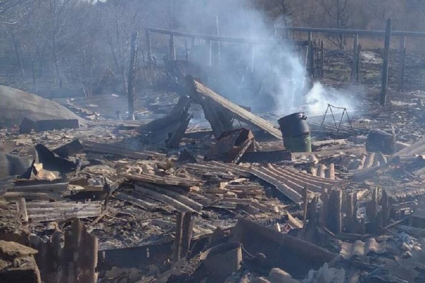 Новини Вінниці / Дві хати та сарай горіли у селі на Вінниччині: хтось підпалив суху траву (ФОТО)