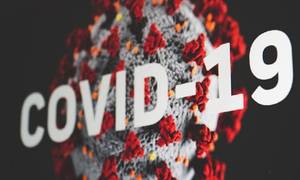 Новини Вінниці / За добу на Вінниччині виявили 32 випадки коронавірусу