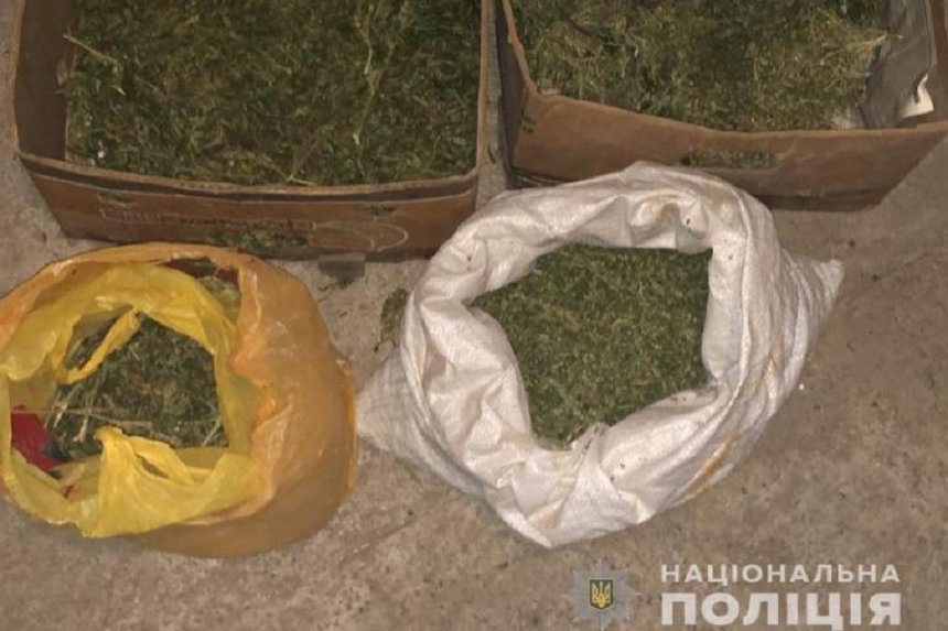 Близько кілограма канабісу знайшли вінницькі правоохоронці в жителя приміського села / Новости Винницы и области / Інформаційний портал На Париже Новини Вінниці / Близько кілограма канабісу знайшли вінницькі правоохоронці в жителя приміського села