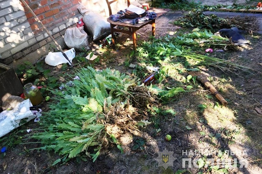 На дачі під Вінницею поліцейські "застукали" господарку макової плантації за виготовленням наркотиків (ФОТО, ВІДЕО) / Новости Винницы и области / Інформаційний портал На Париже Новини Вінниці / На дачі під Вінницею поліцейські "застукали" господарку макової плантації за виготовленням наркотиків (ФОТО, ВІДЕО)