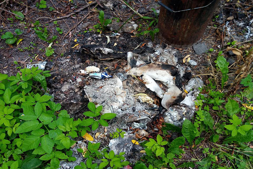 Новини Вінниці / У Вінниці чоловік спалював непотріб на березі водойми та здивувався, що це порушення (ФОТО)