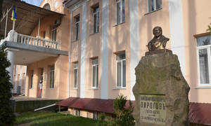 Новини Вінниці / В онкогематологічному відділенні вінницької «Пироговки» ситуацію з COVID-19 називають критичною