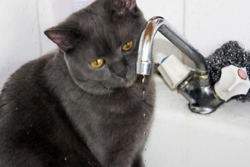 Новини Вінниці / У Вінниці протягом доби залишать без води половину міста і прилеглі села