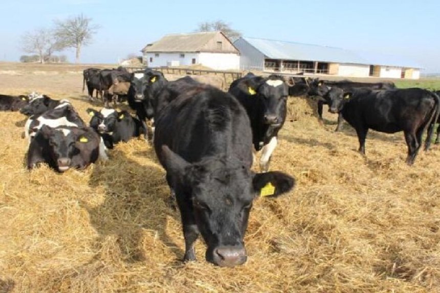 Новини Вінниці / Вінничанам, які мають земельну ділянку, допоможуть створити «Сімейну ферму»