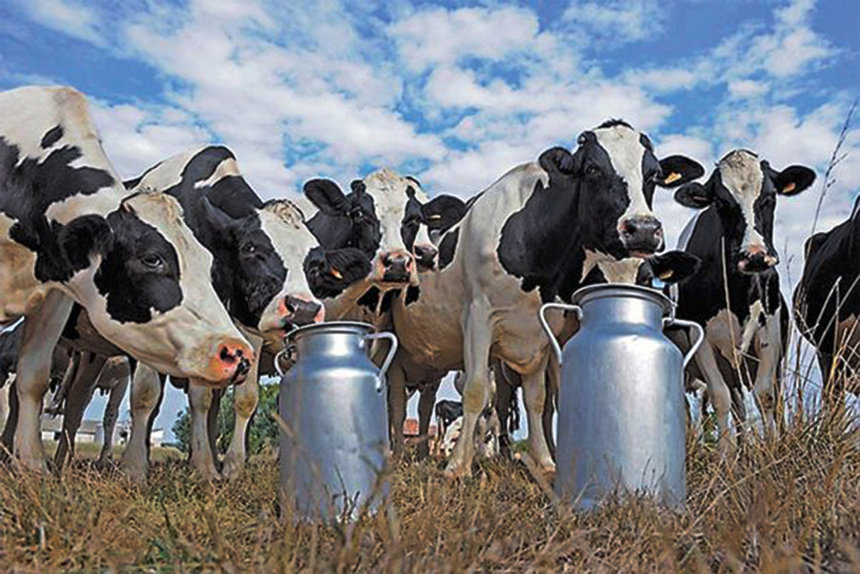 Новини Вінниці / На Вінниччині можуть створити 25 сімейних ферм