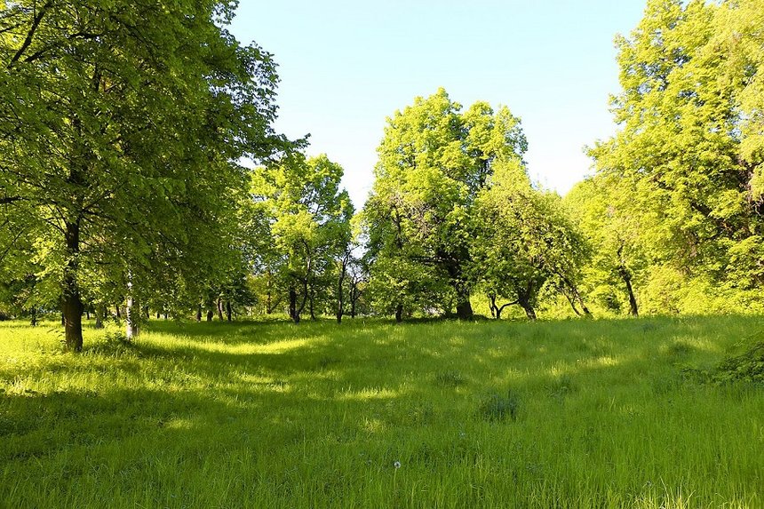 Новини Вінниці / В ОТГ на Вінниччині оголосили мистецький конкурс: шукають ідеї для туристичних "родзинок"