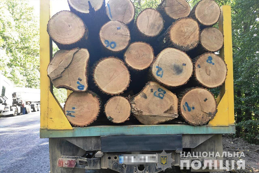 Новини Вінниці / У вінницькій поліції заявили про тисячі перевірок вантажівок з лісом та 25 кримінальних проваджень